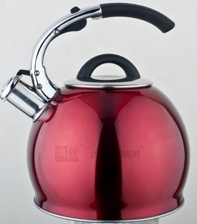 Stainless Steel Whistling Tea Kettle