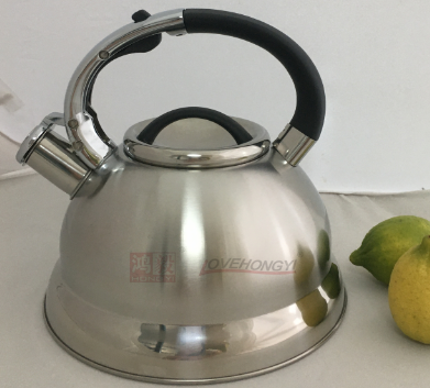 Stainless Steel Whistling Tea Kettle