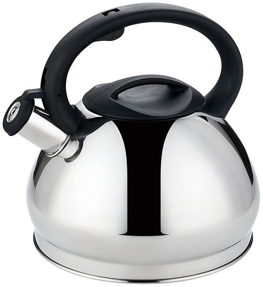 Stainless Steel Whistling Tea Kettle