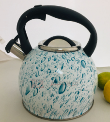 Stainless Steel Whistling Tea Kettle