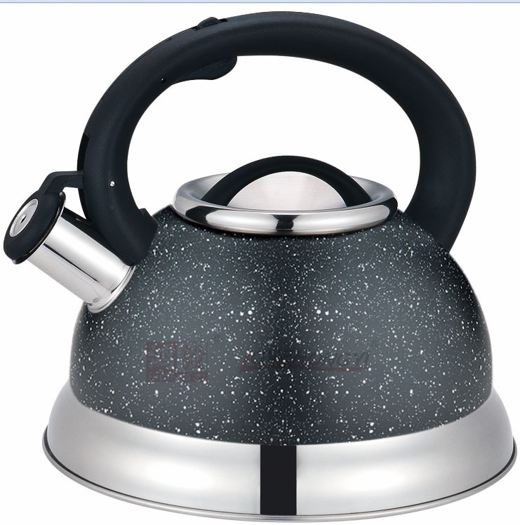 Stainless Steel Whistling Tea Kettle