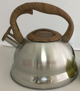 Stainless Steel Whistling Tea Kettle