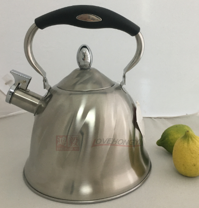Stainless Steel Whistling Tea Kettle