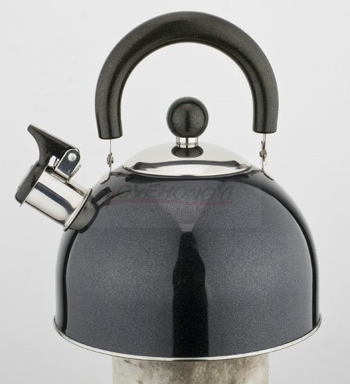 Stainless Steel Whistling Tea Kettle