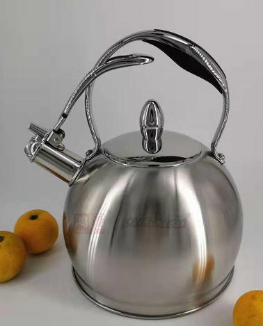 Stainless Steel Whistling Tea Kettle