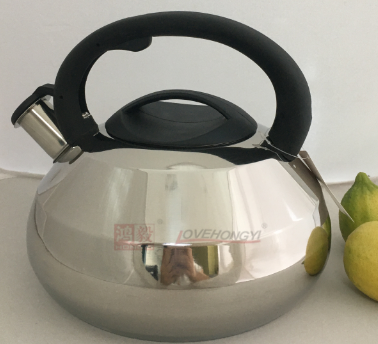 Stainless Steel Whistling Tea Kettle