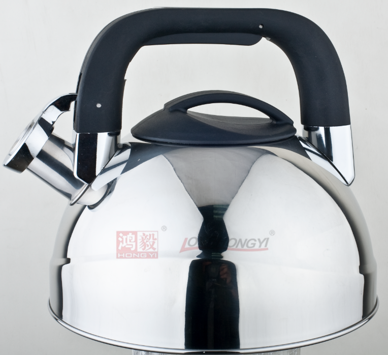 Stainless Steel Whistling Tea Kettle