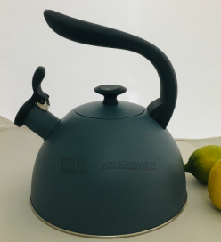 Stainless Steel Whistling Tea Kettle