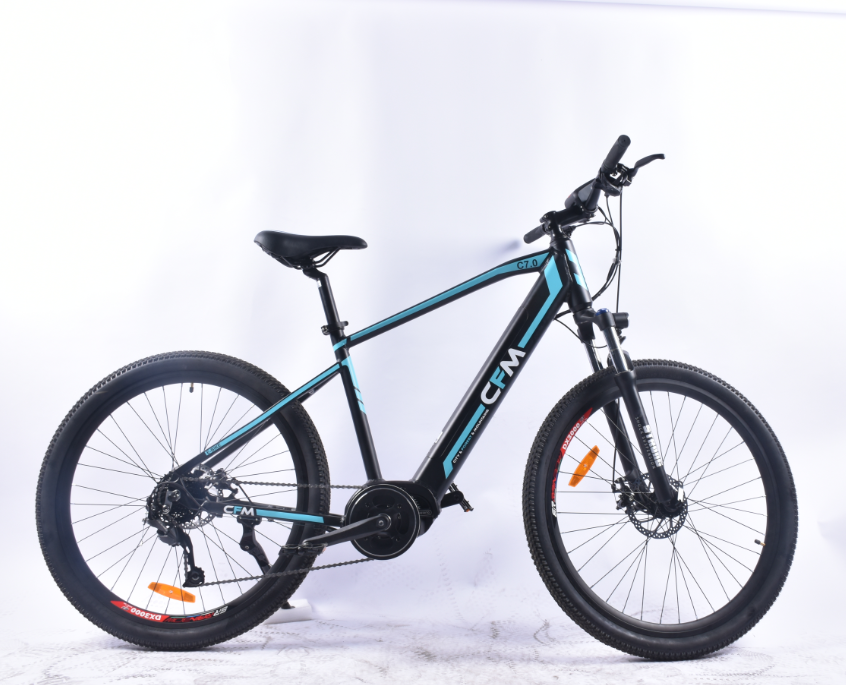 Electric Bicycle