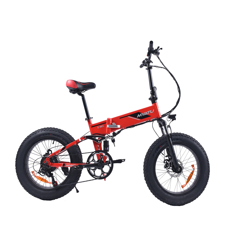 20-Inch 250W 48V Fat Tire Folding Electric Beach Bike