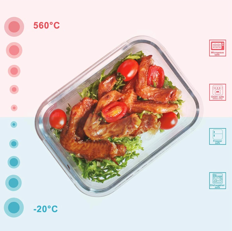 Borosilicate Glass Food Container with Custom Design and Packaging Options