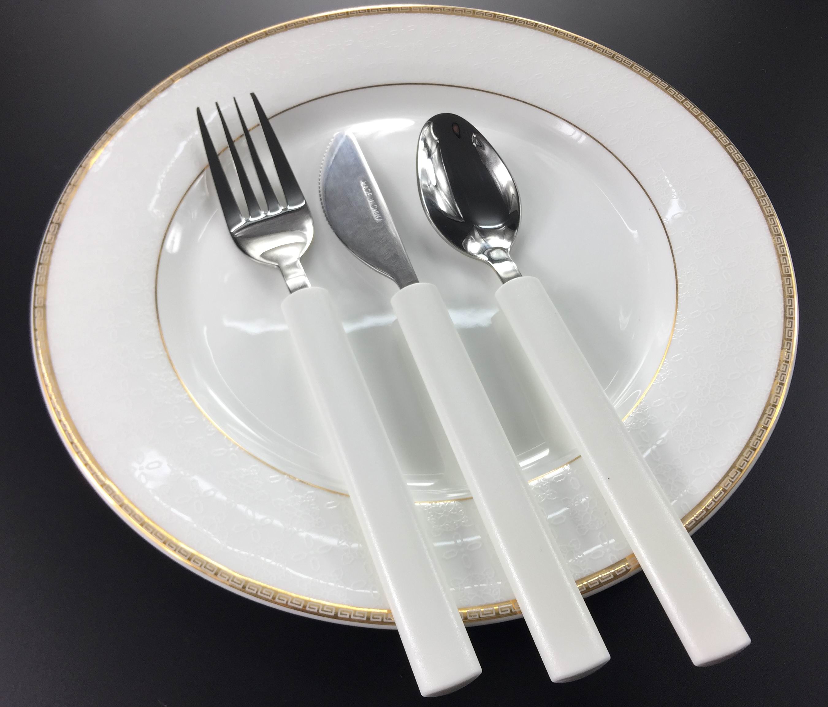 Stainless Steel Cutlery Set with Plastic Handle