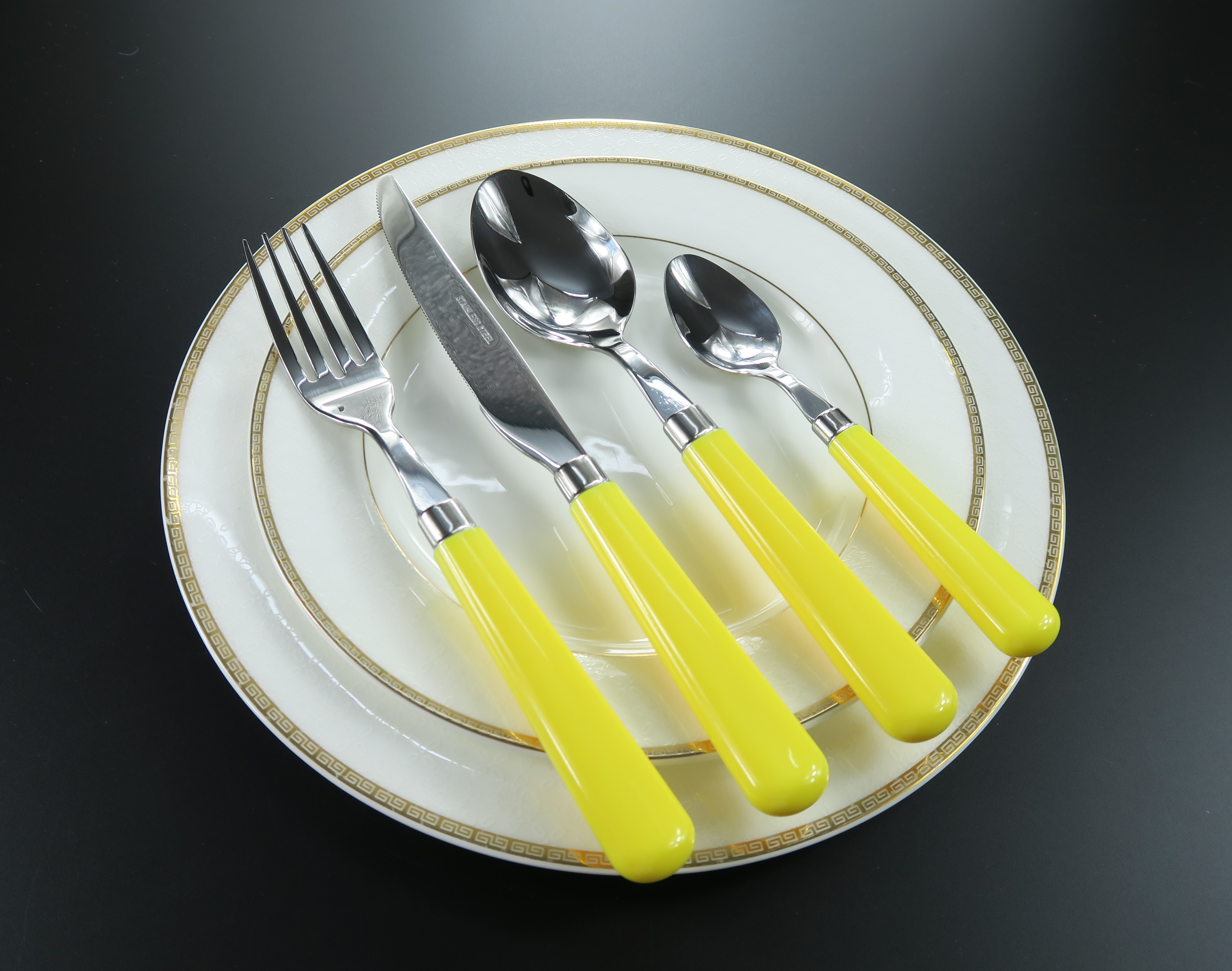 Stainless Steel Cutlery Set with Plastic Handle