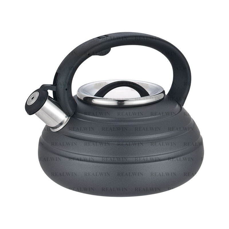 Stainless Steel Kettle with Whistle Spout