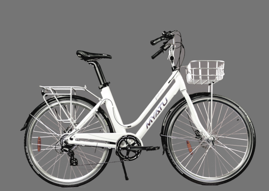 Lady Electric Bicycle