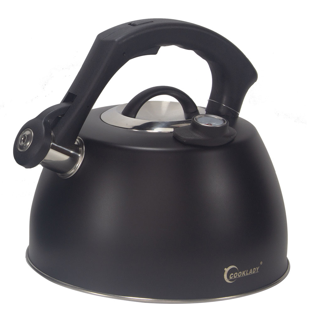 Stainless Steel Whistling Kettle with Thermometer