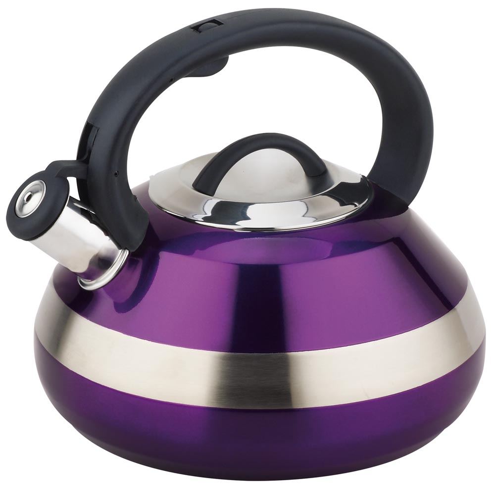 4.5L Stainless Steel Whistling Kettle