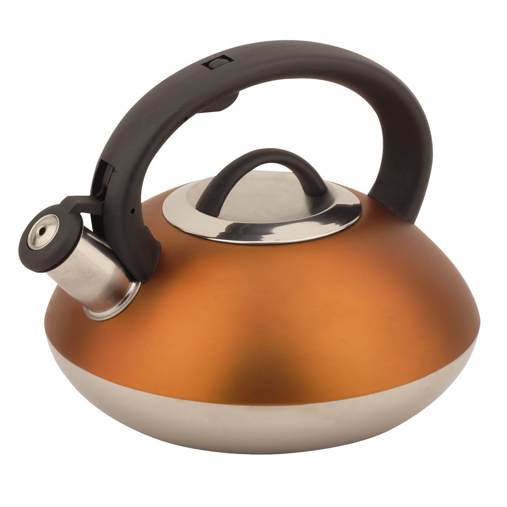 2.6L Stainless Steel Whistling Kettle