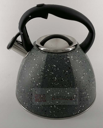 Stainless Steel Whistling Tea Kettle
