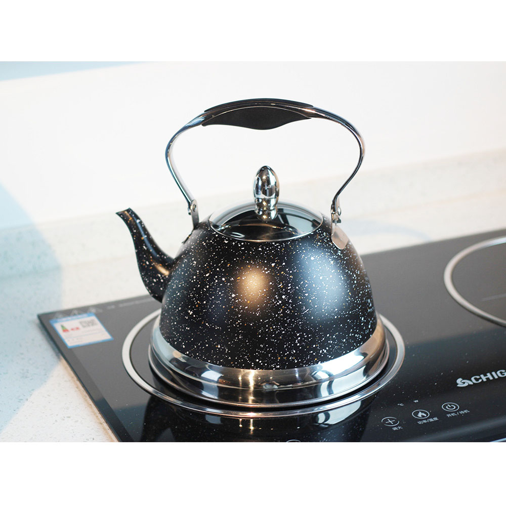 Stainless Steel Whistling Tea Kettle