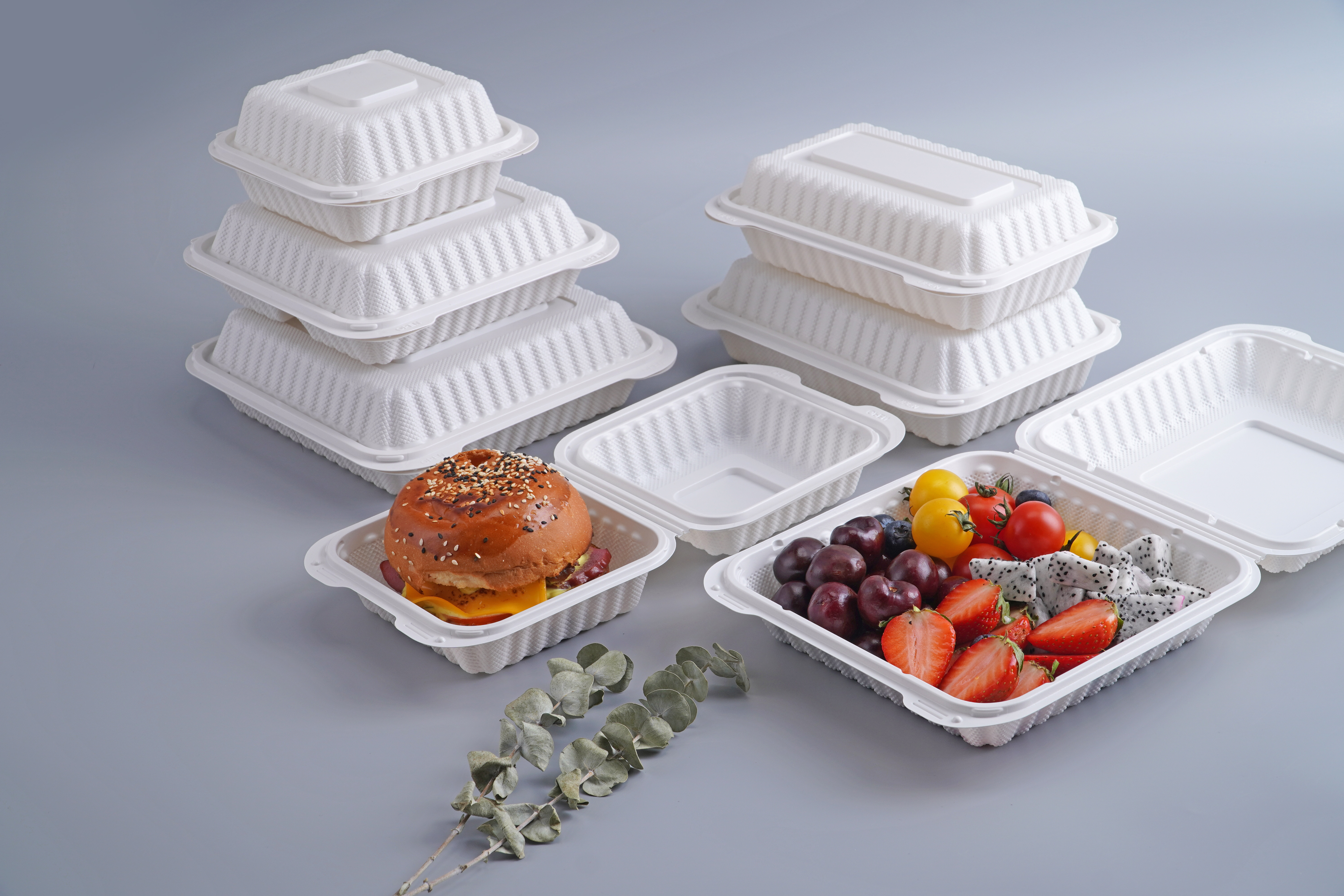 Clamshell Hinged Lunch Box