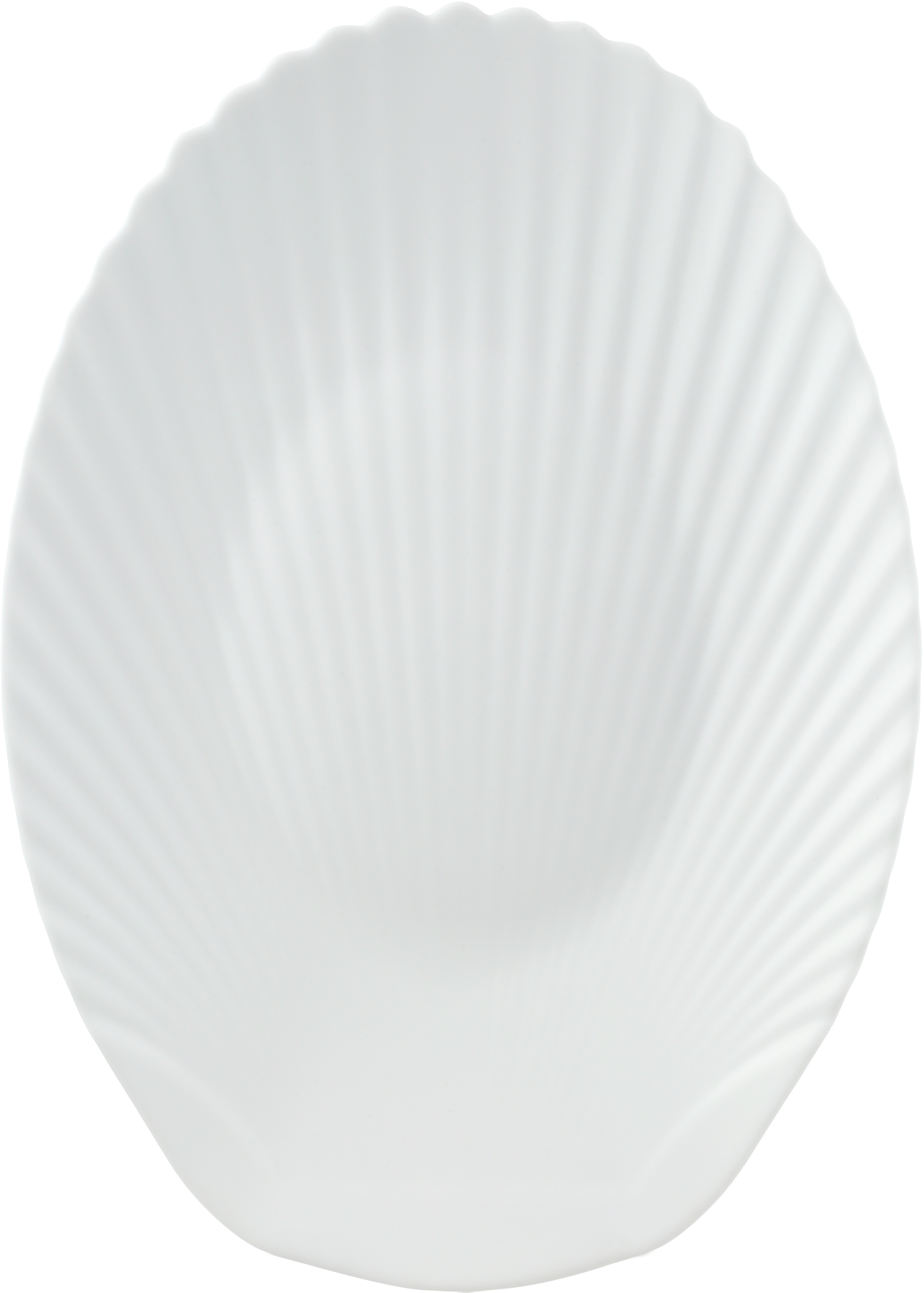 Opal Glass Fish Plate - Shell Series