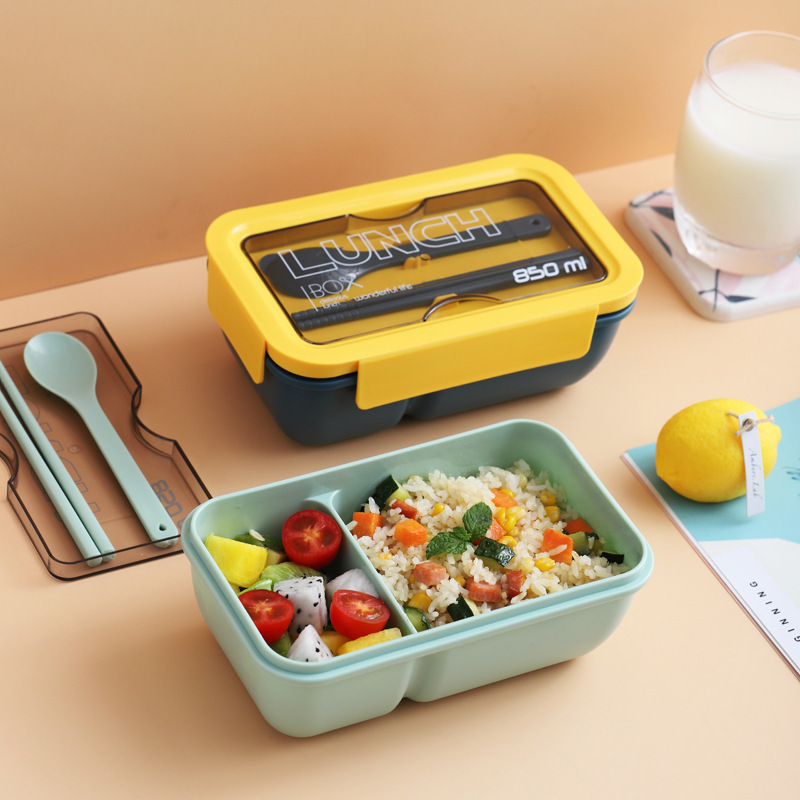 INS Wind Microwave Plastic Japanese Bento Box