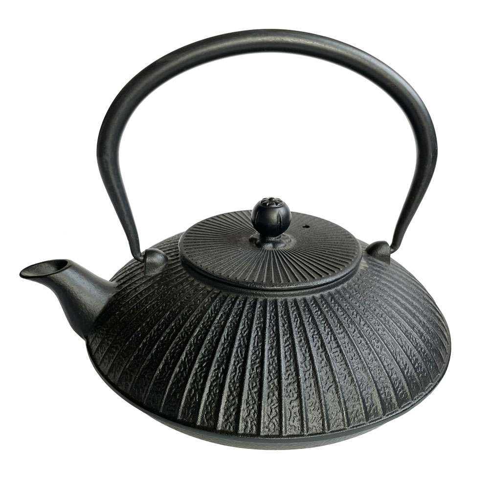 Cast Iron Teapot