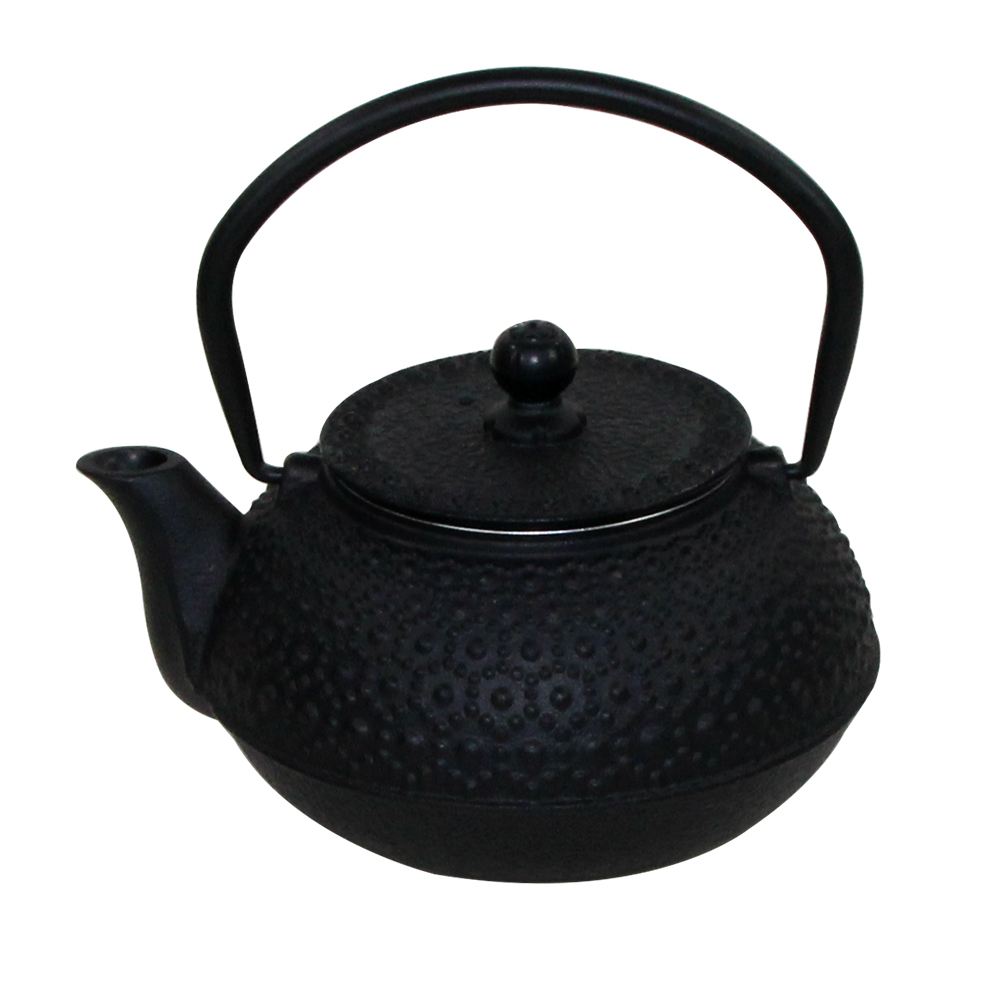Traditional Cast Iron Enameled Teapot