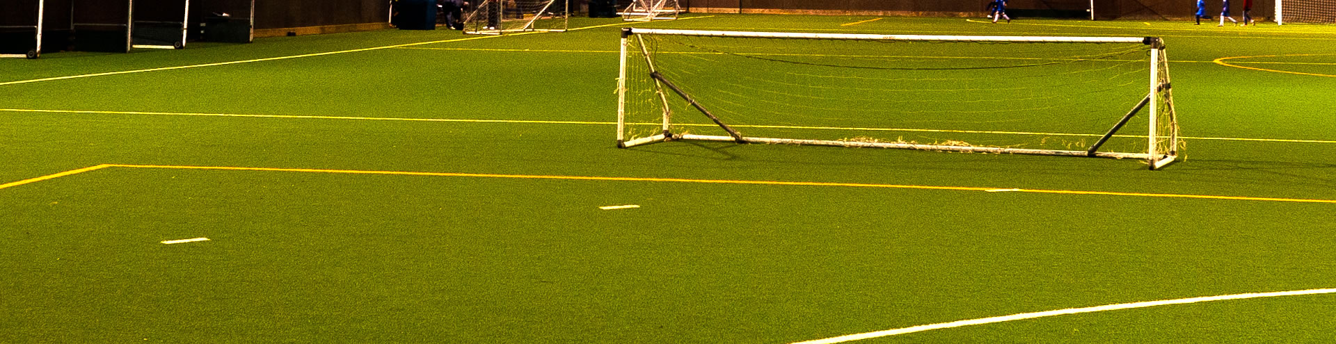 Multi-sport Turf