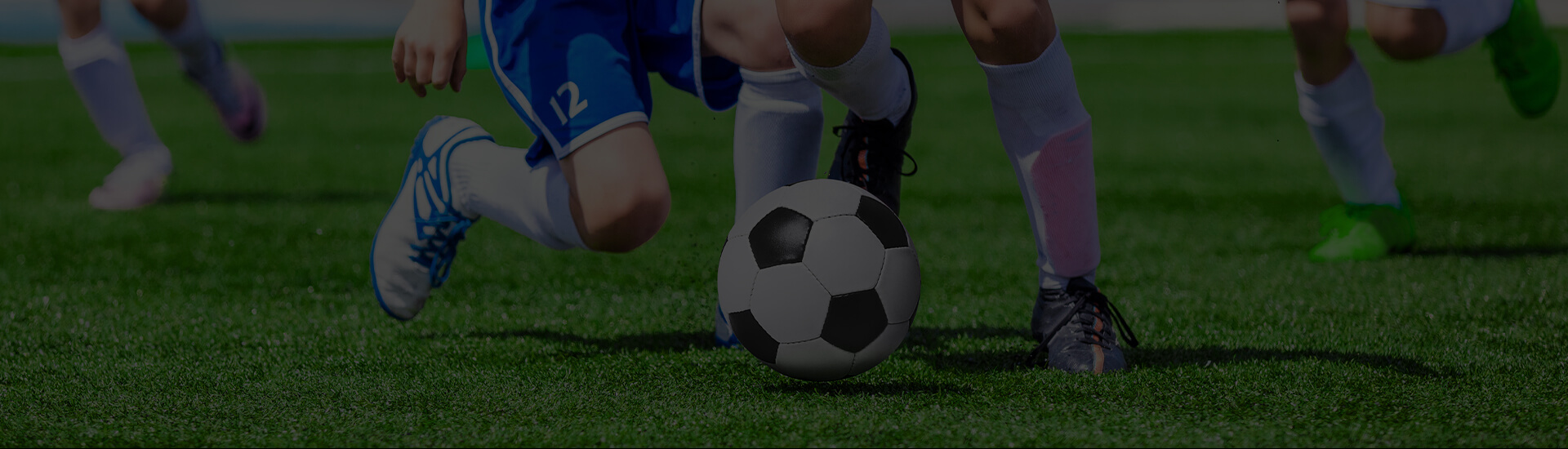 Sports Turf Innovation for Performance & Sustainability