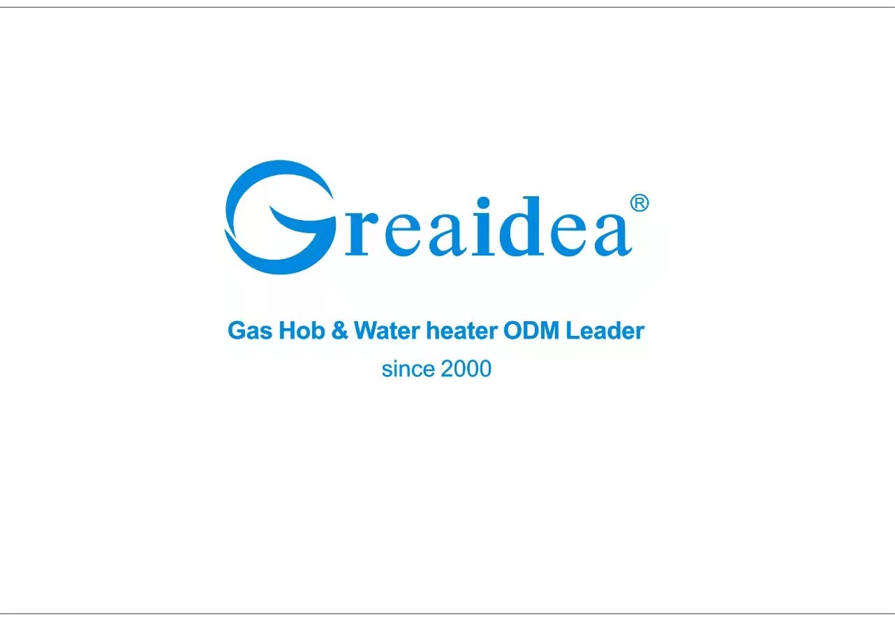 Flue Type Gas Water Heater