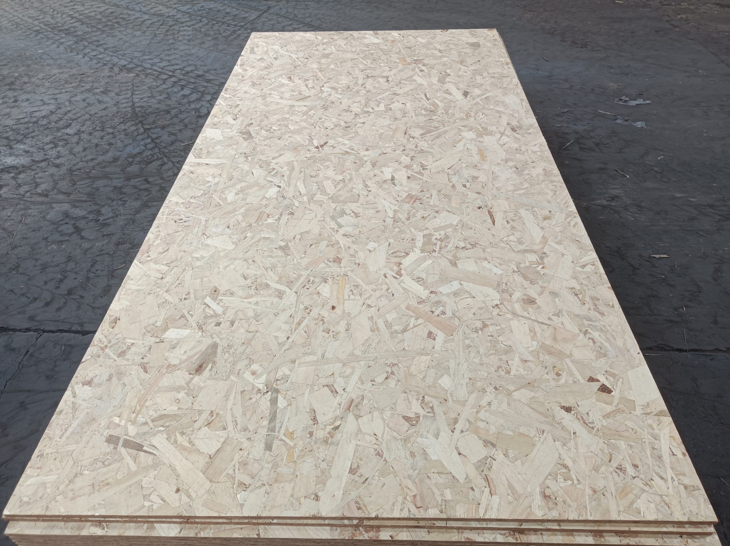 OSB Poplar Surface Plywood