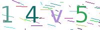 Professional Playground Equipment Manufacturer