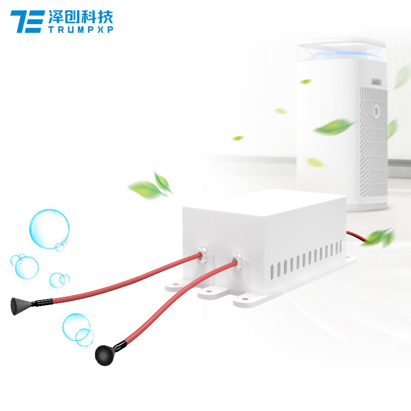 High Voltage Negative Ion Generator TFB-Y122