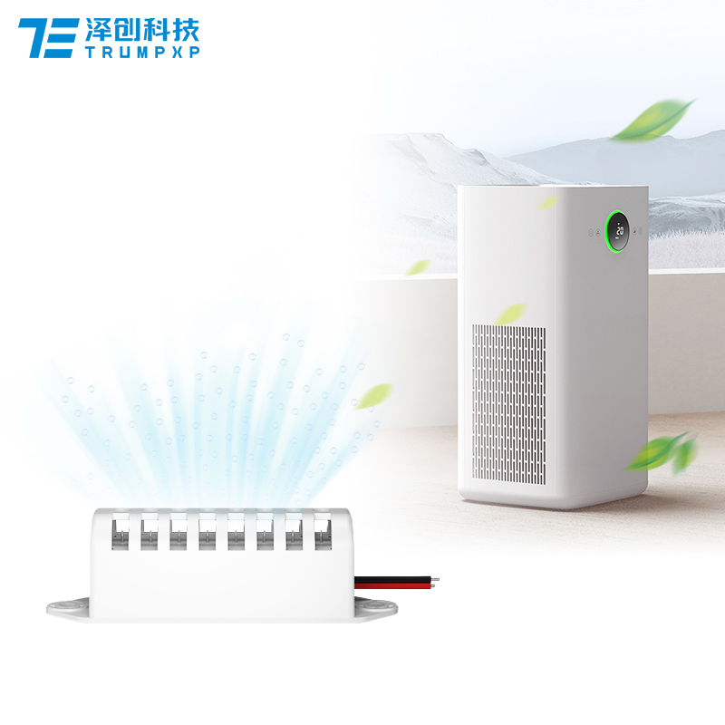 Plasma Ion Generator, Positive and Negative Ion Generator, Ozone Generator
