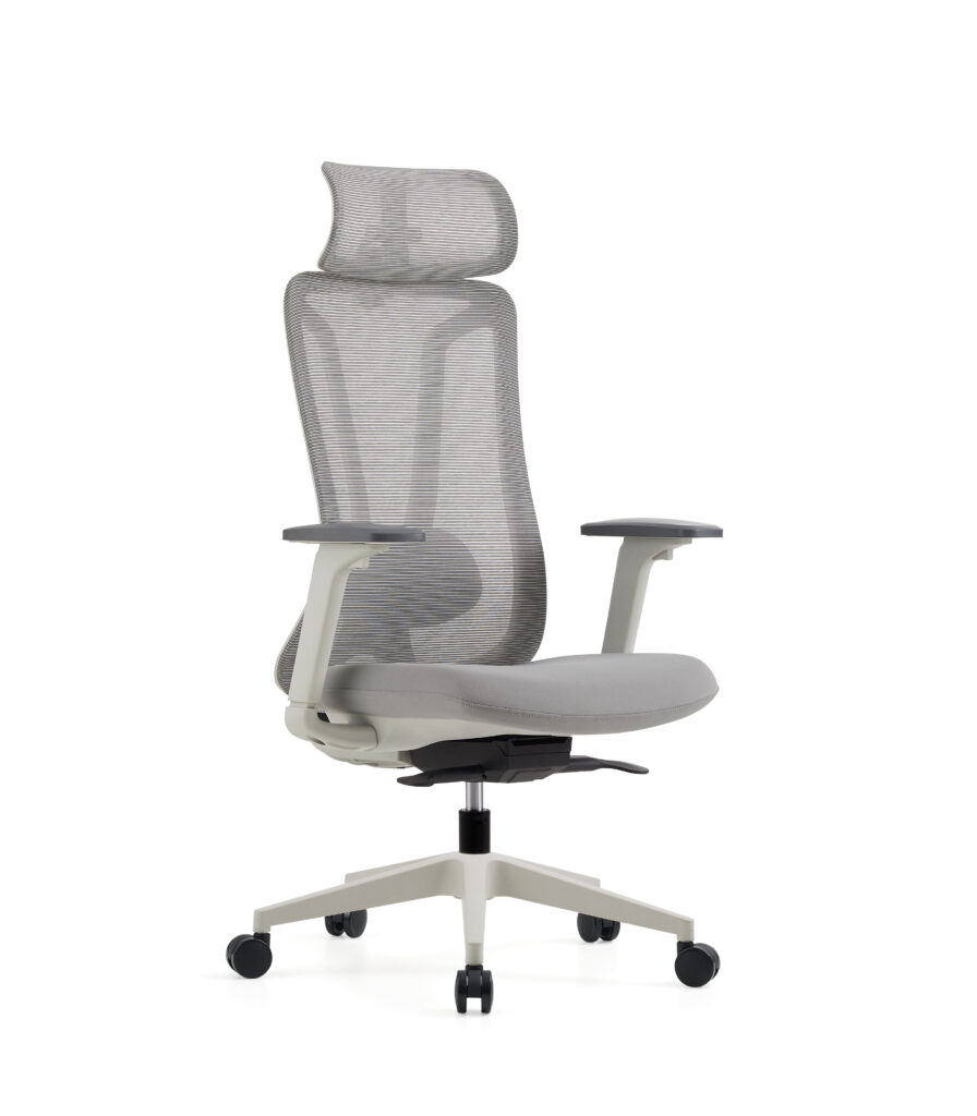 Modern Ergonomic Executive Office Chair with 3D Arms and 3-Position Locking Mechanism
