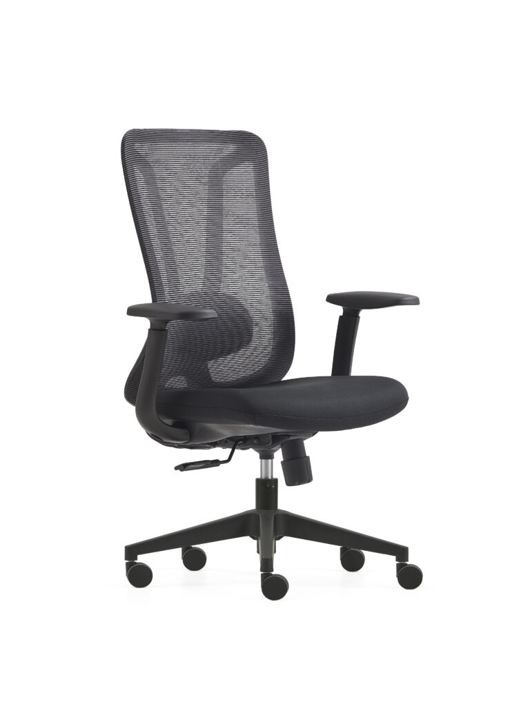 Modern Ergonomic Executive Office Chair with 3D Arms and 3-Position Locking Mechanism