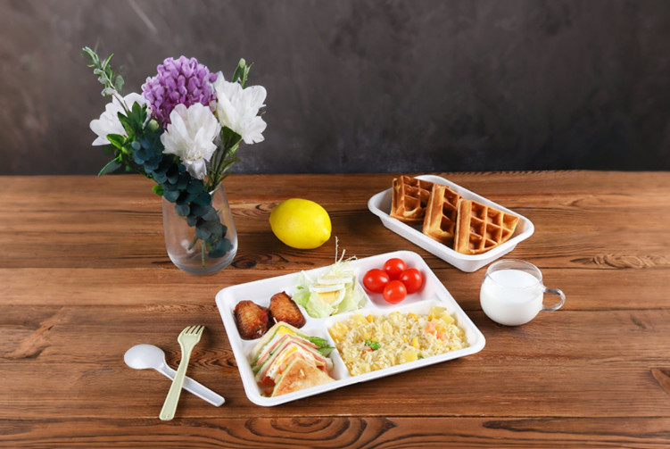 Sugarcane Bagasse Tray Series
