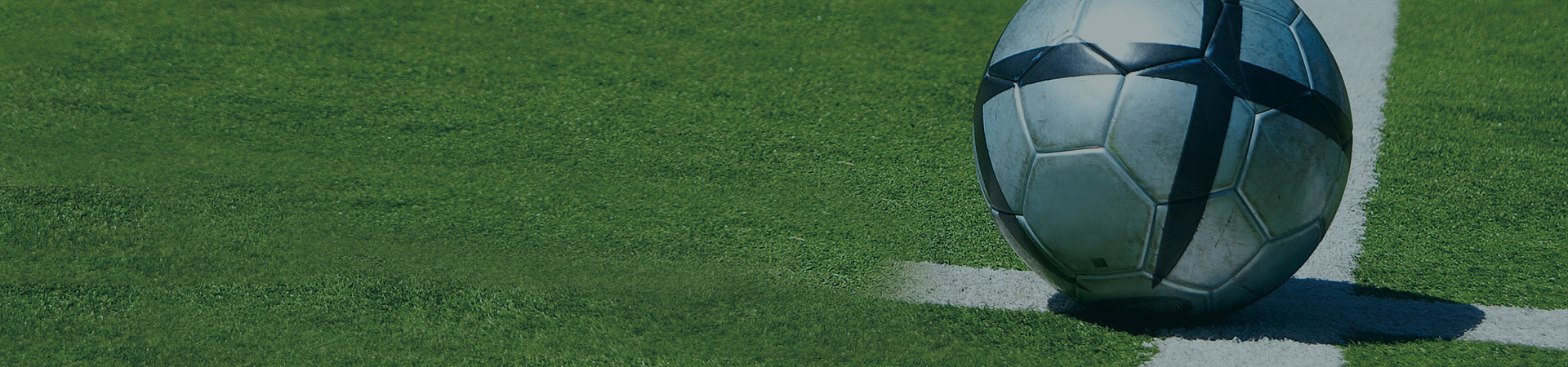 100% Recyclable Artificial Grass
