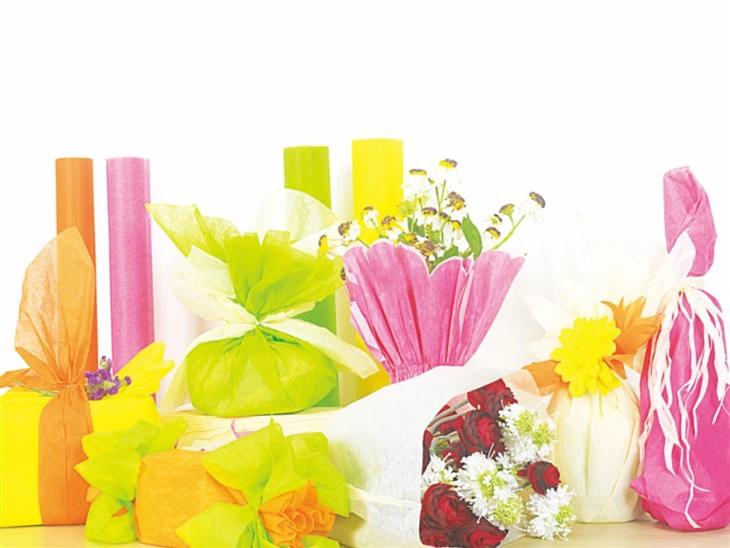 Non Woven Fabric Manufacturer and Supplier