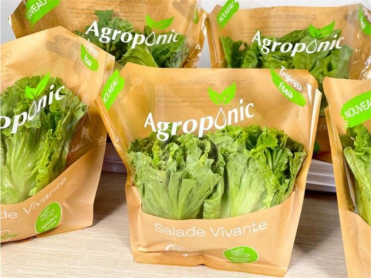 Window-Kraft Bag