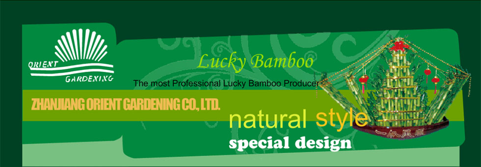 Canton Fair product