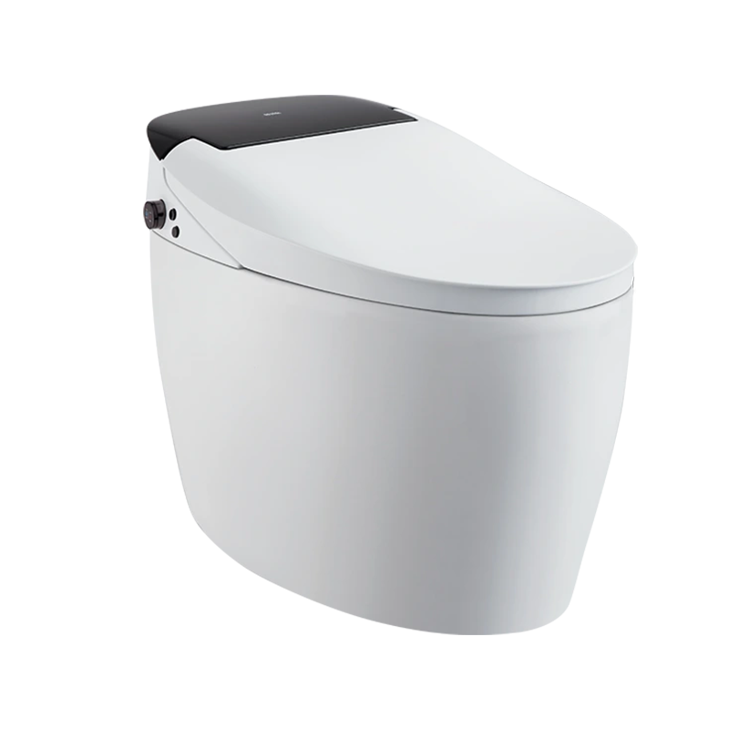 Ceramic Basin, Smart Toilet, Conventional Toilet
