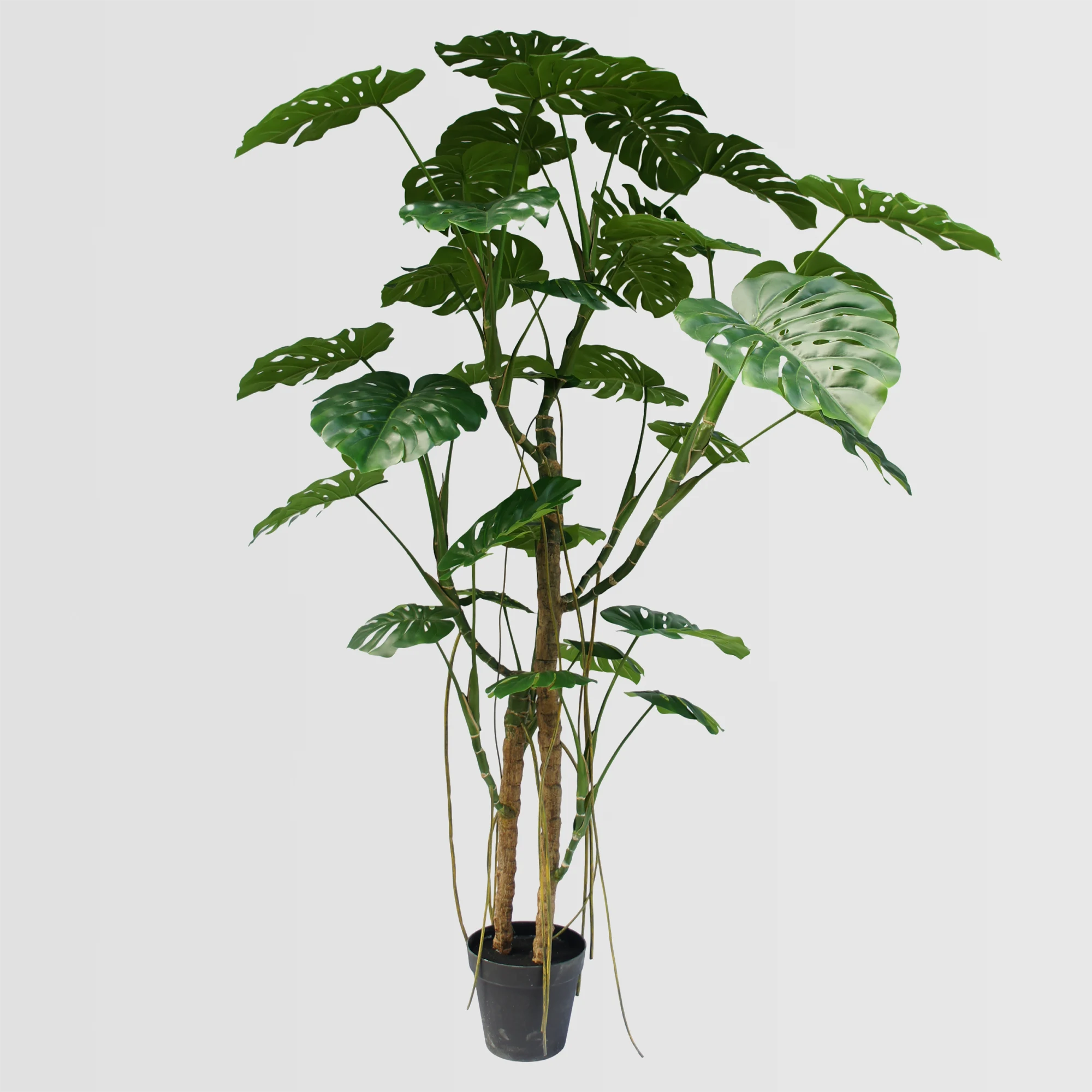 240cm Artificial Monstera Tree (KD) for B2B Décor Projects