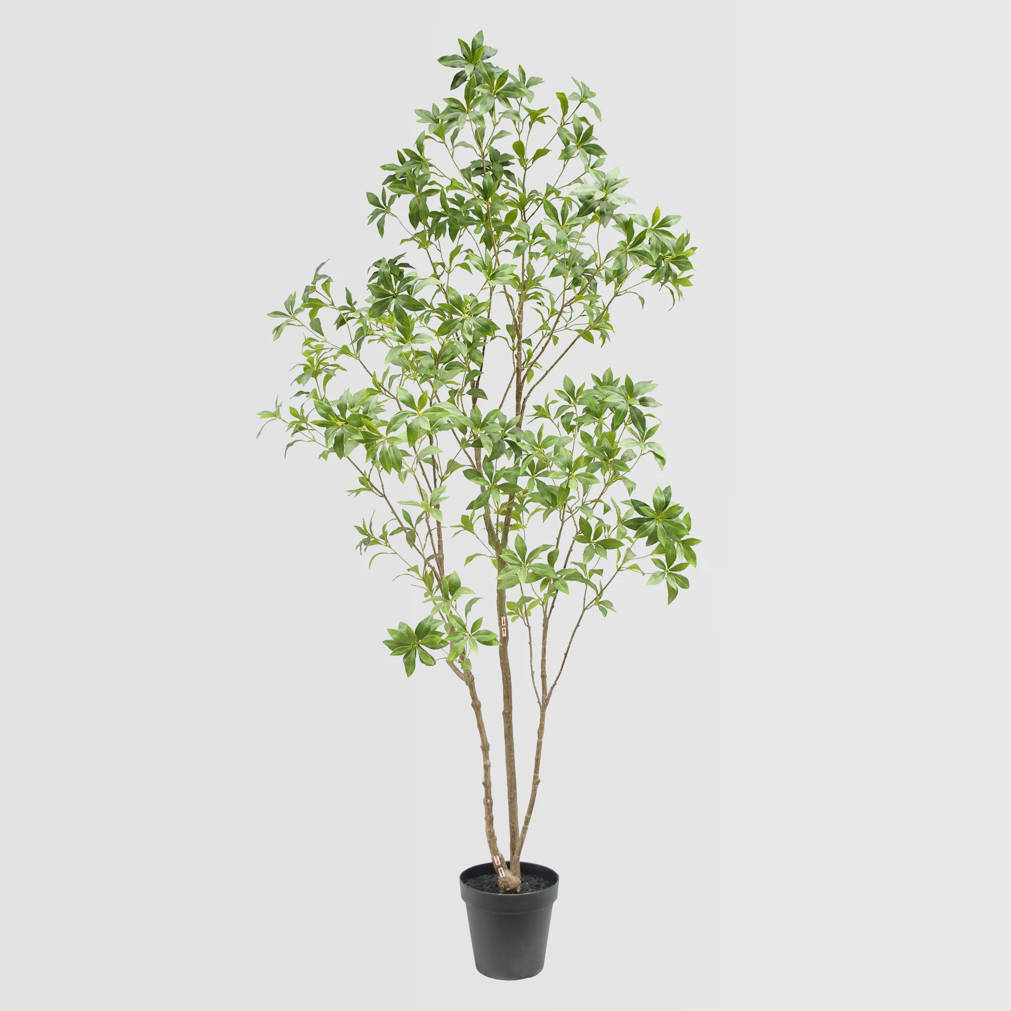 210cm Artificial Pieris Japonica Tree (KD)