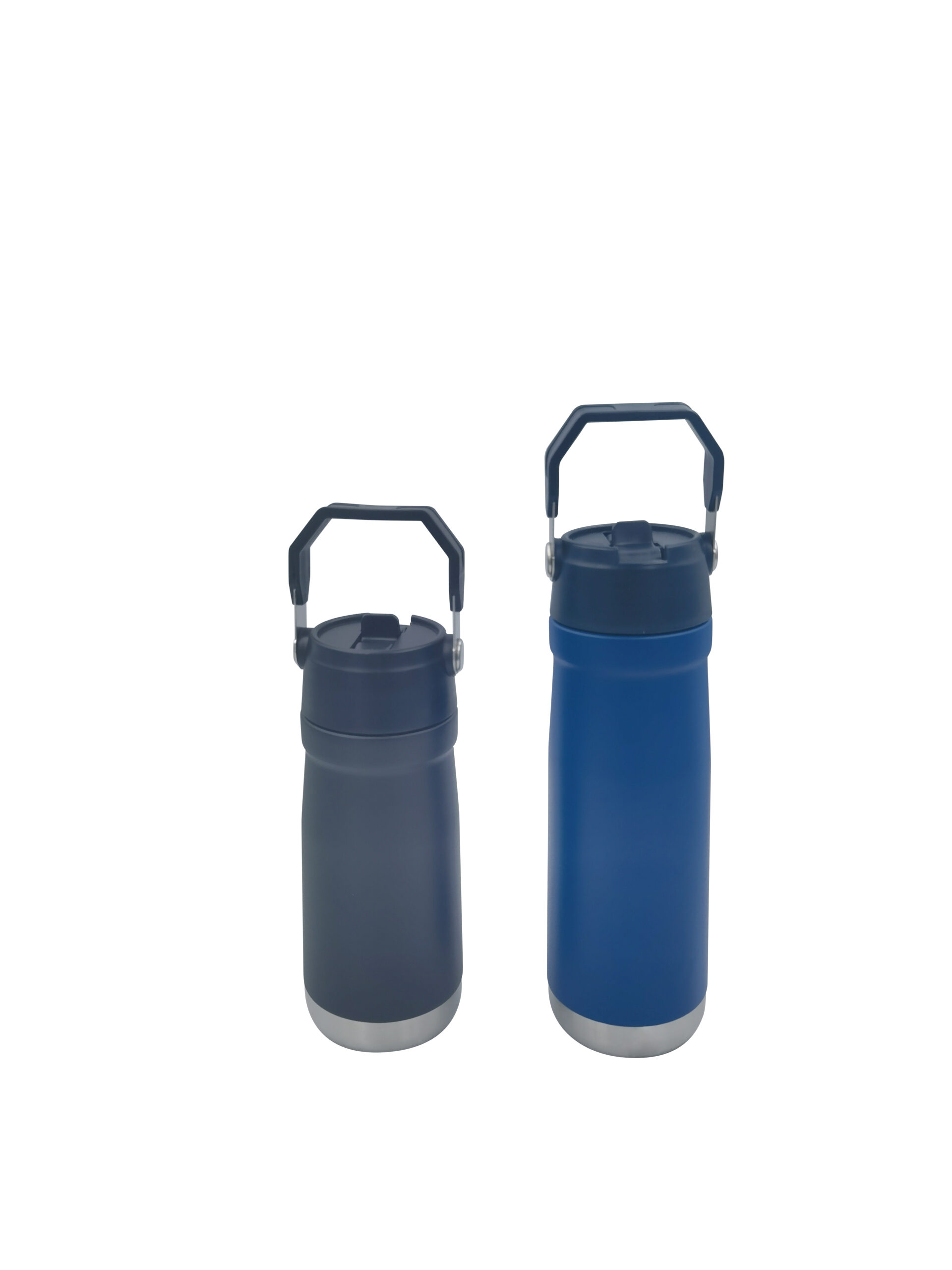 550ML/650ML Stainless Steel Bottle