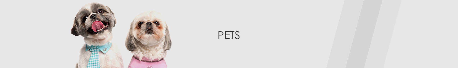Pet Steps and Ramp
