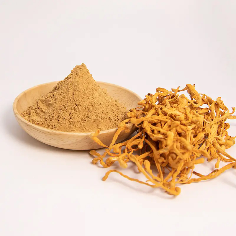 Cordyceps Militaris Extract Powder (No Dextrin)