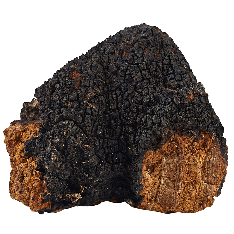 Pure Chaga Extract Powder (No Dextrin)